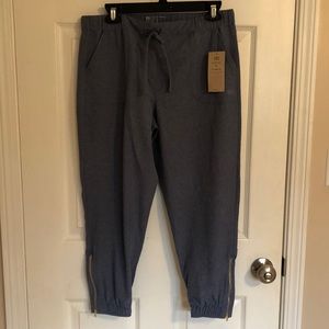 NWT Albion fit Jetsetter Joggers